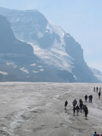 Columbia Icefields Photo