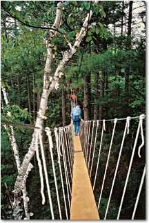 Photo of Elevated Boardwalk, Haliburton Forest and Wild Life Preserve