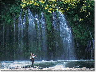 Hedge Creek Falls Photo