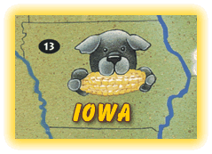 Iowa Map Graphic