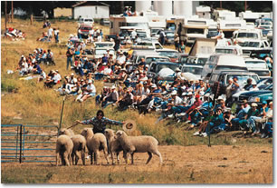 Meeker Classic, Colorado Sheepdog Showdown