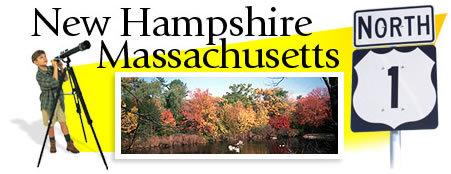 New Hampshire and Massachusetts Header Graphic