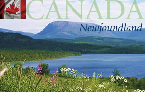 Newfoundland Canada Graphic