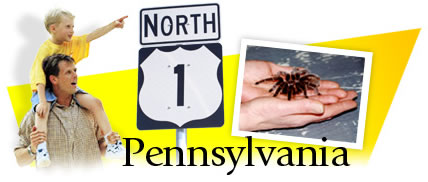 Pennsylvania Header Graphic