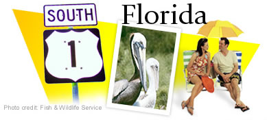 US Route 1 Through Florida Graphic