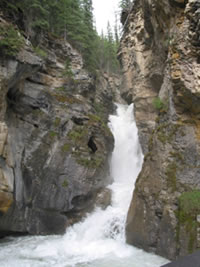 Athabasca Falls Photo