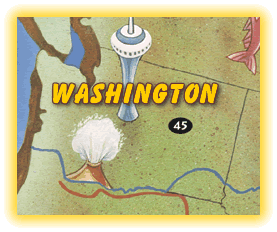 Washington Map Graphic